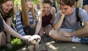 Dogs on the quad